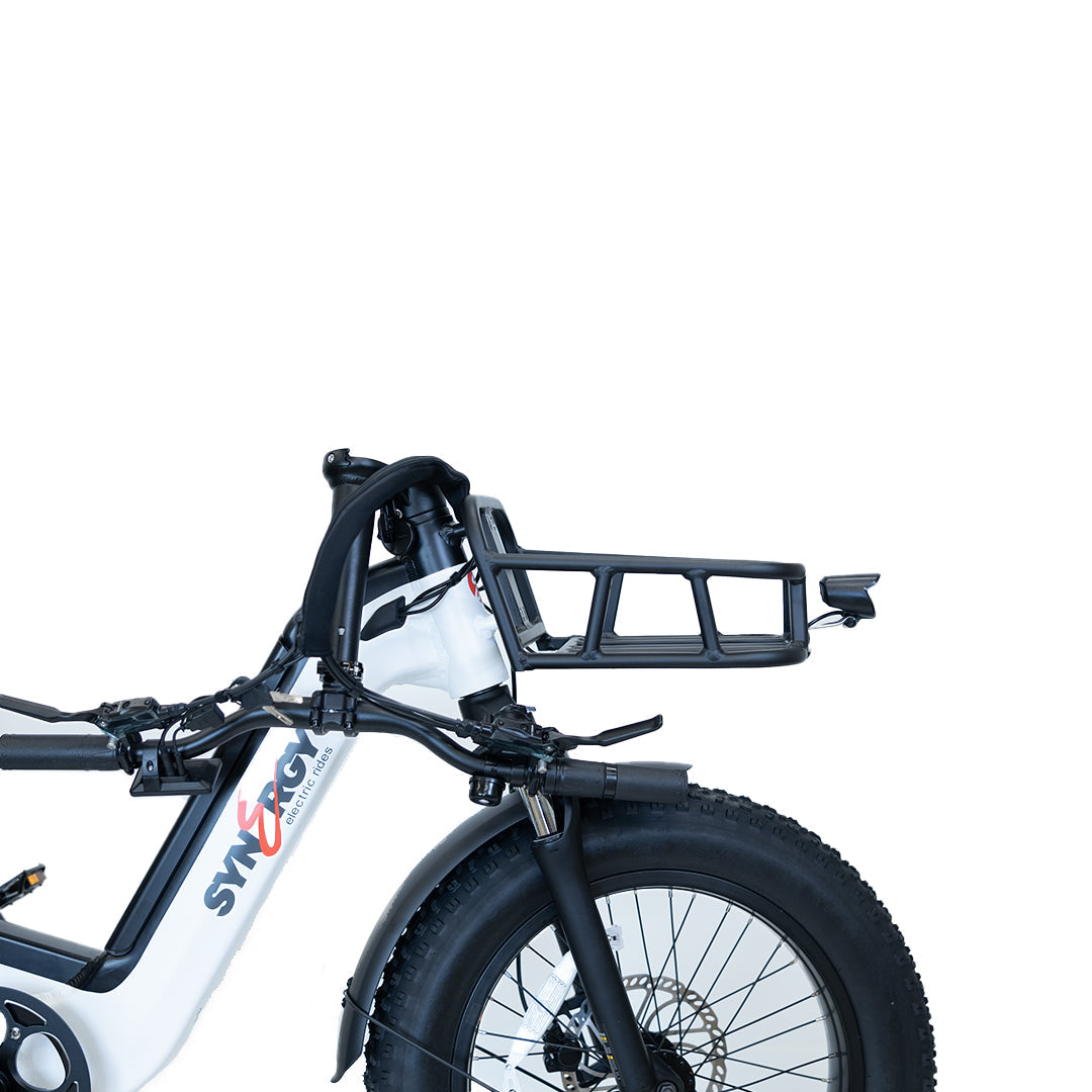 Synergy Triad 3 Wheel Bike – American Iron Cycles